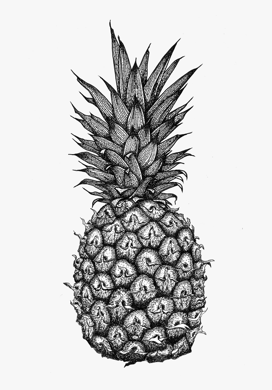 Transparent Pineapple Clipart Black And White - Pineapple Zentangle, Transparent Clipart