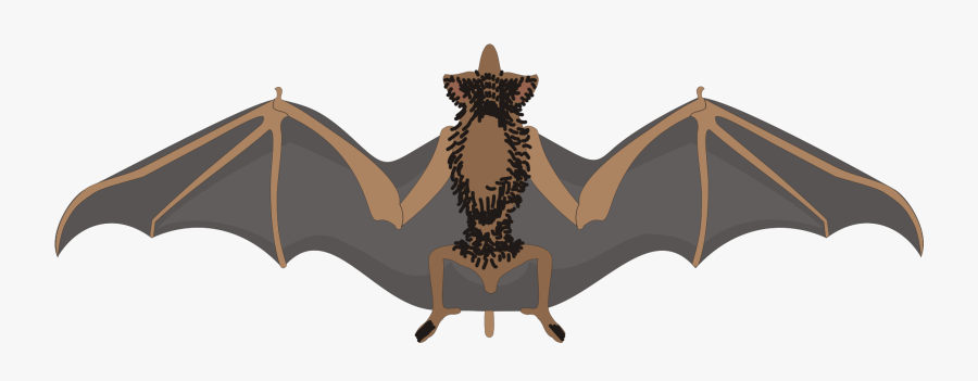 Bats Clipart Svg - Kelelawar Vektor, Transparent Clipart