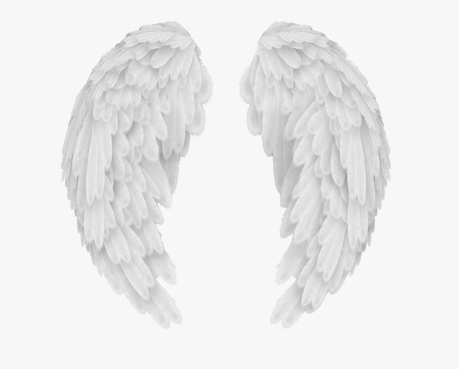 Angel Wings Scalable Vector Graphics Autocad Dxf Clip, Transparent Clipart