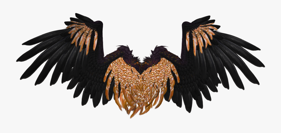 Clip Art Angel Wing Graphics - Black And Gold Angel Wings, Transparent Clipart