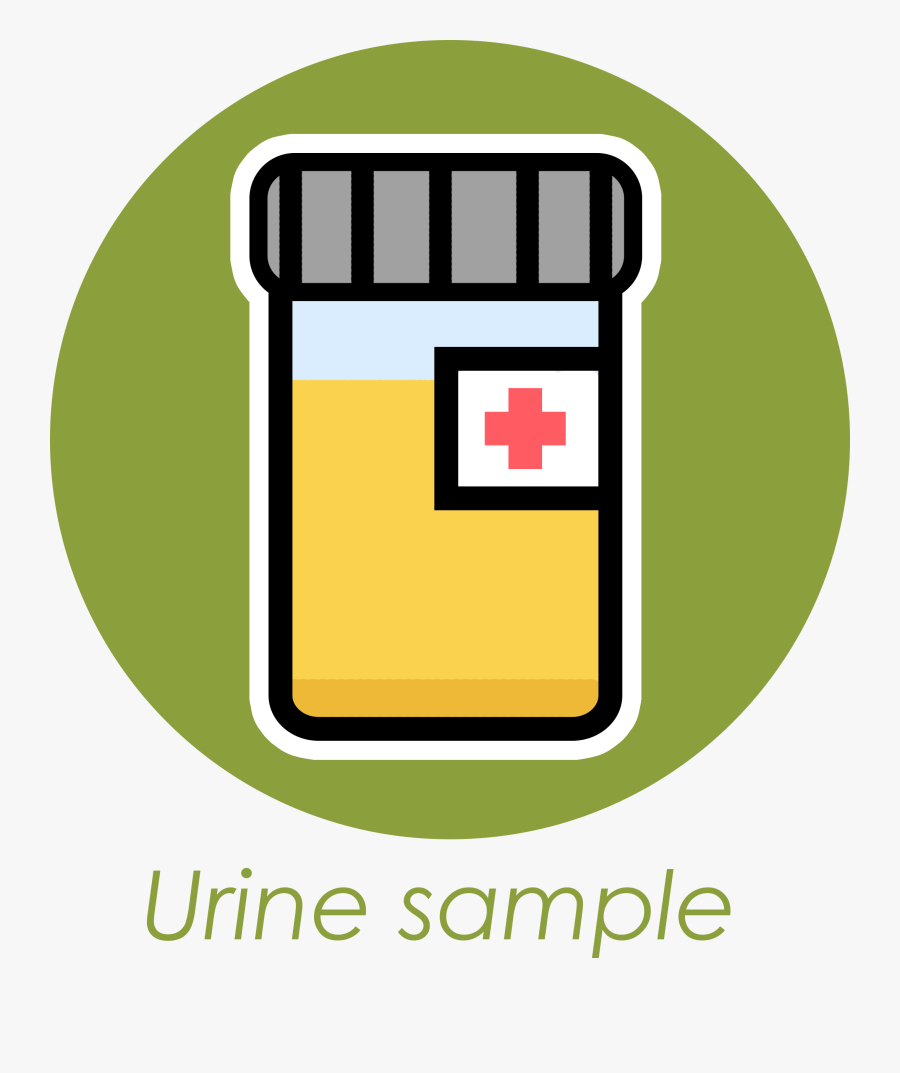 Urine Microscopy And Culture - Energie Renouvelable, Transparent Clipart