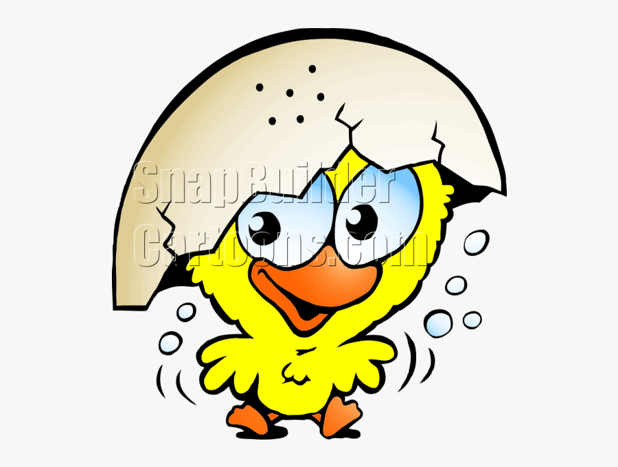 Chicken Hatched Egg Mascot Logo - Baby Chicken Cartoon, Transparent Clipart