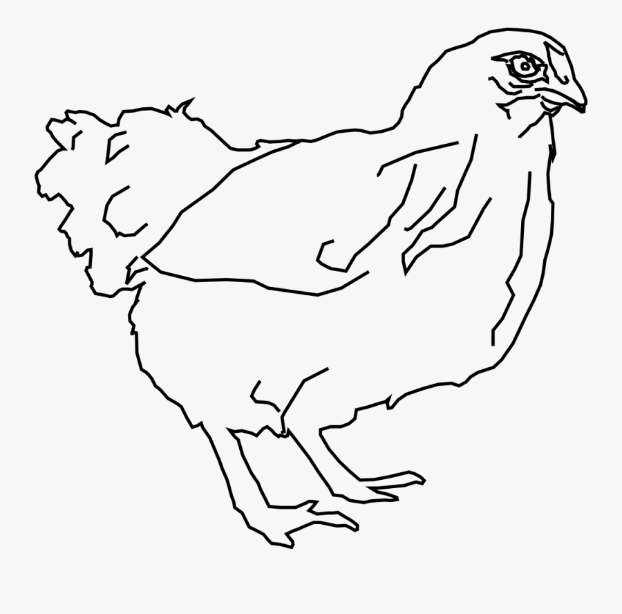 Bantam Hen Clip Art Download - Hen Pic In Clipart Black And White, Transparent Clipart