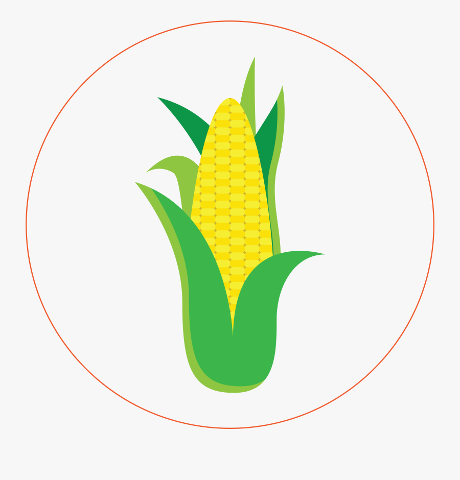 Corn - Sweet Corn, Transparent Clipart