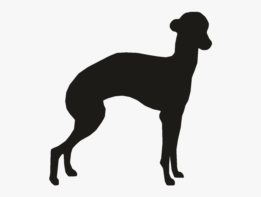 Italian Greyhound Clipart Italian Greyhound Whippet - Kanni, Transparent Clipart