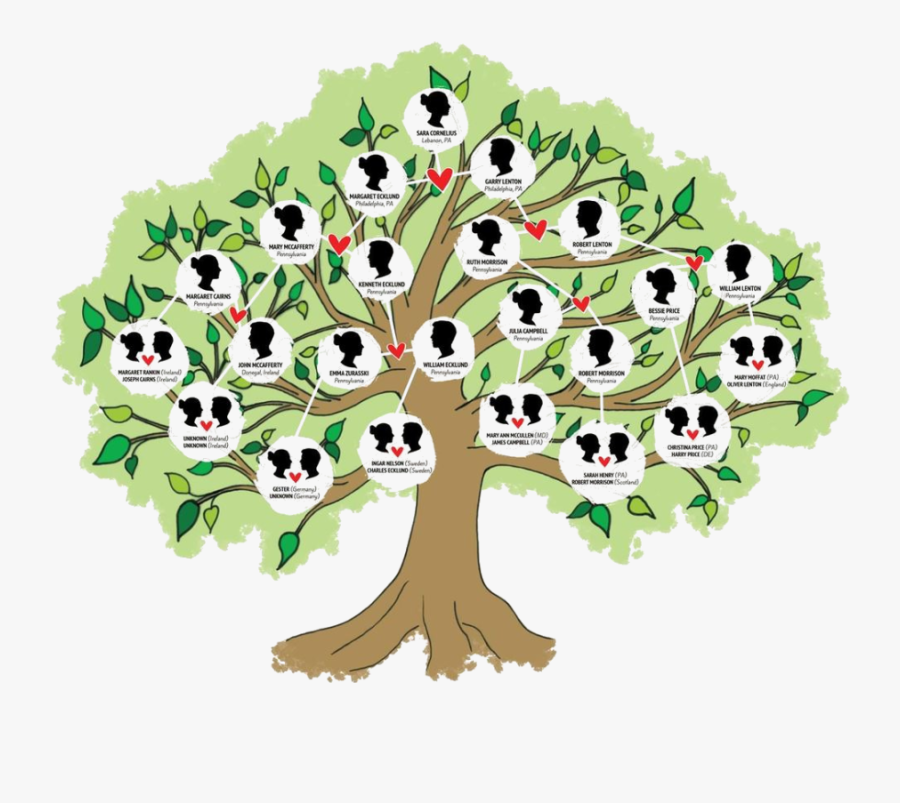 1 complete family tree. Генеалогическое дерево. Родственное дерево. Генеалогическое Древо Family Tree. Family Tree нарисовать.