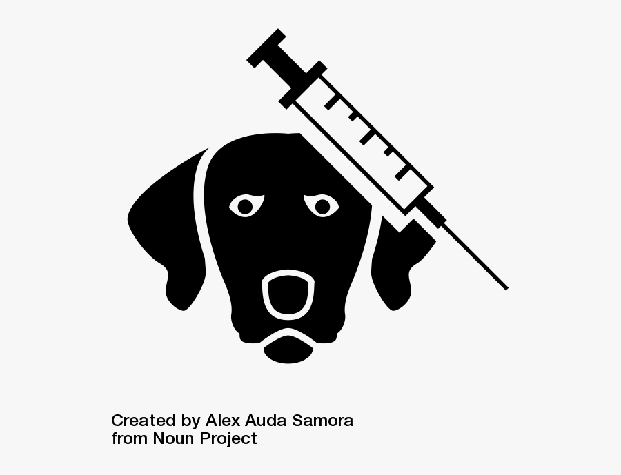 Transparent Vaccine Clipart - Dog Vaccination Clipart, Transparent Clipart