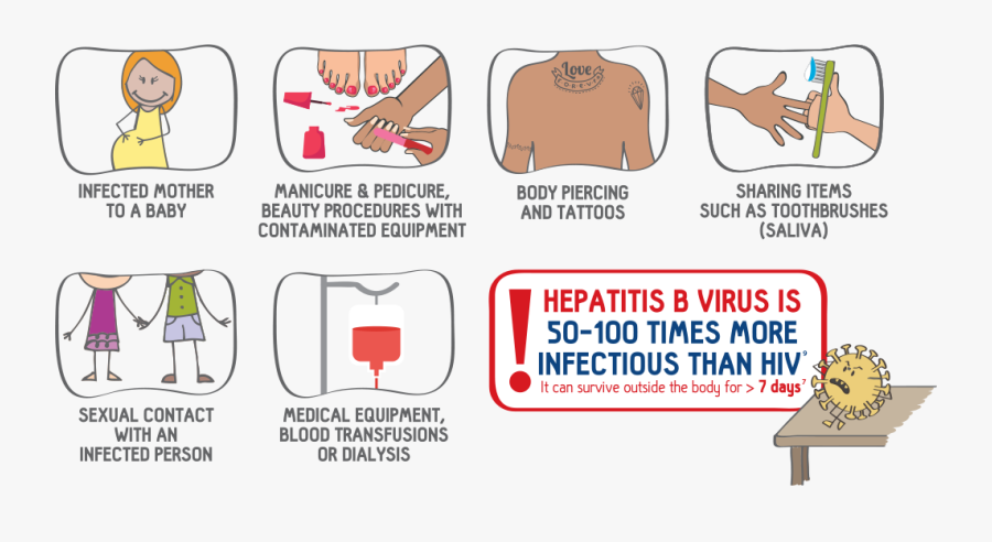 How Can You Get Hepatitis B, Transparent Clipart
