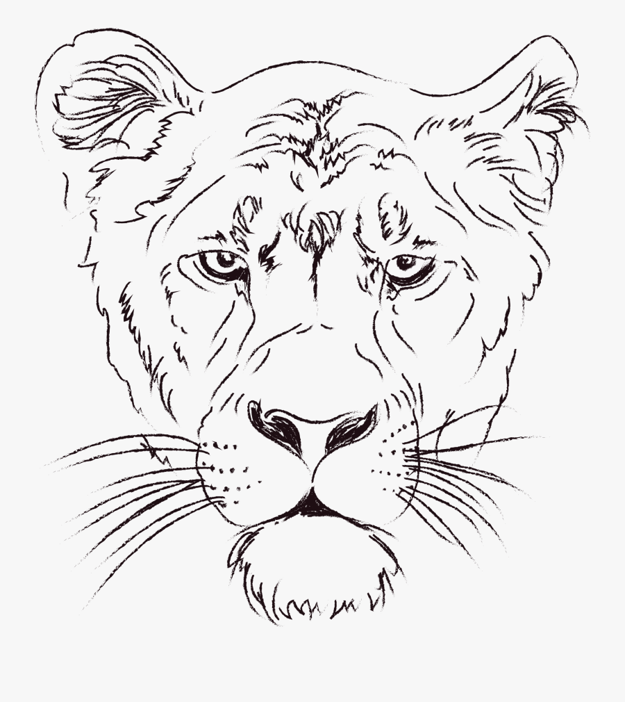 Transparent Lion Clipart - Animal Face Line Art, Transparent Clipart