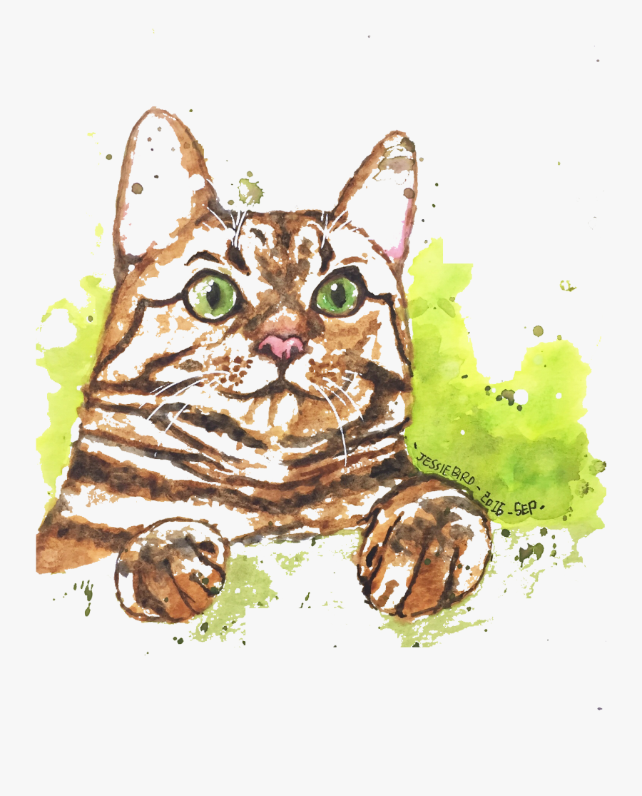 Kitten Clipart Watercolor - Watercolor Cat Png, Transparent Clipart