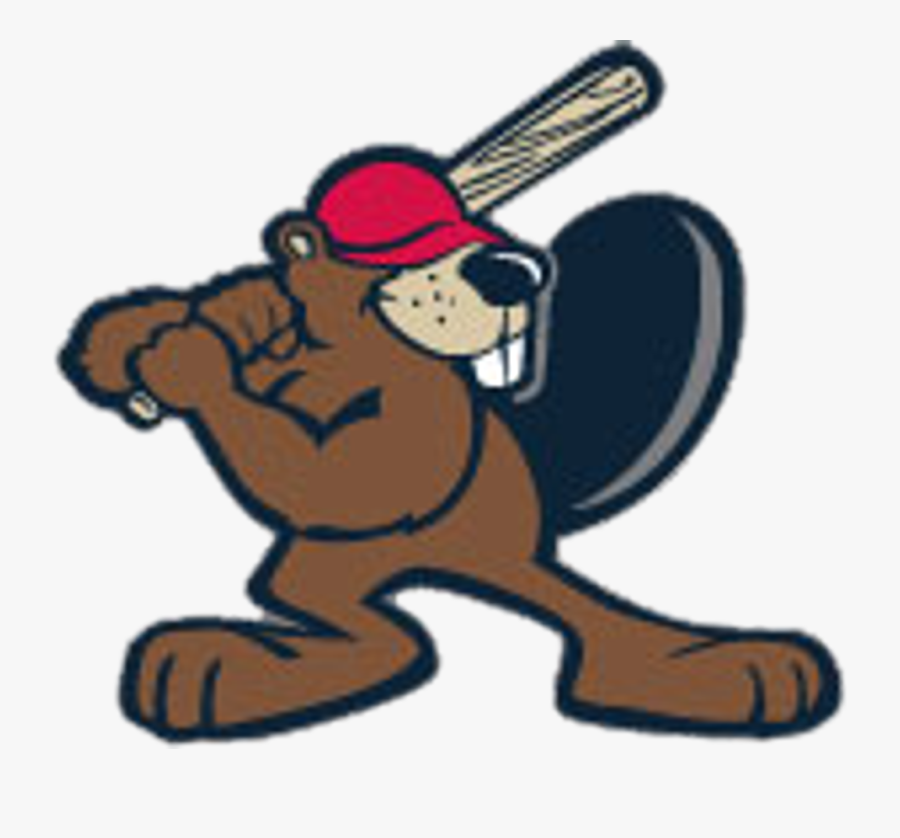 Cartoon Beavers Play Baseball, Transparent Clipart