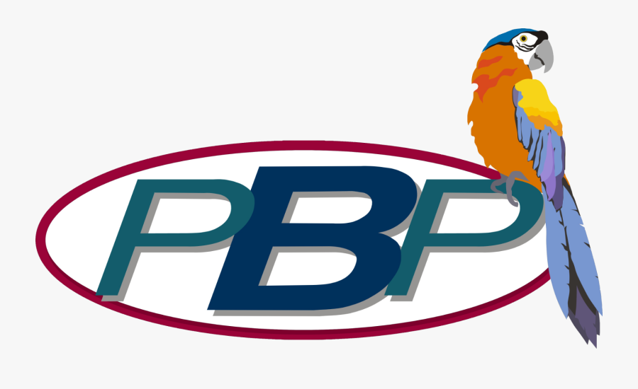 Pensacola Beach Properties Logo - Macaw, Transparent Clipart