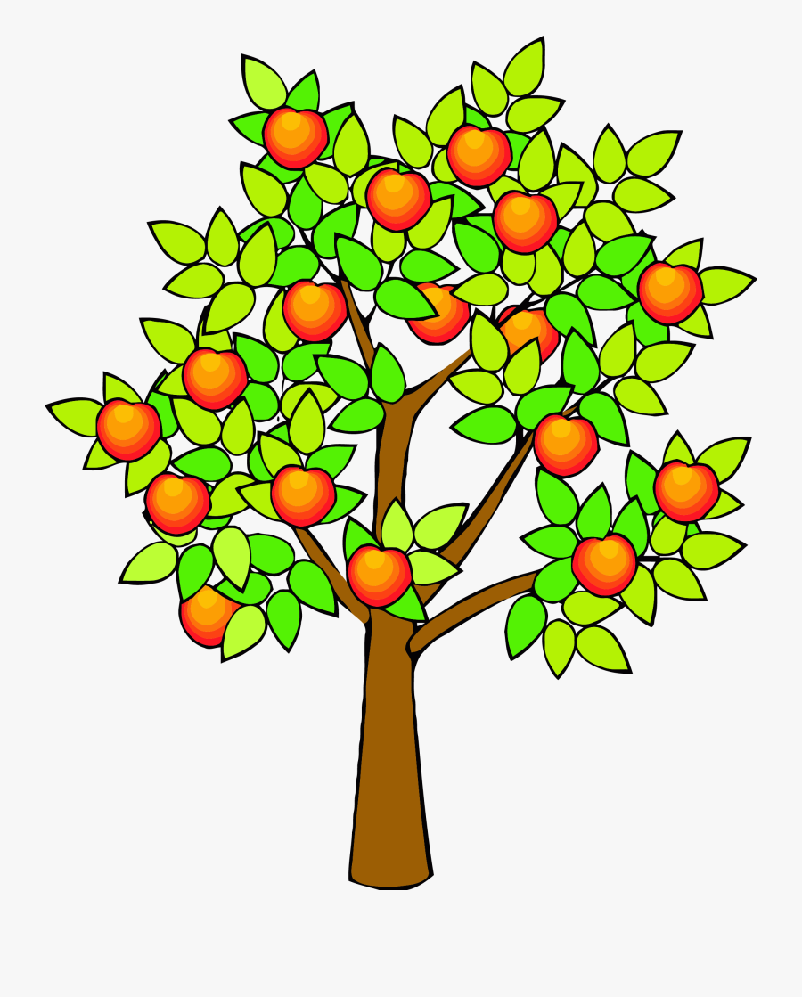 Spring Green Tree Clipart Png - Fruit Tree Clip Art, Transparent Clipart