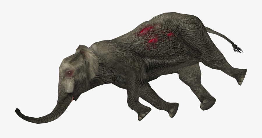 Dead Animal Png, Transparent Png - Dead Elephant Png, Transparent Clipart