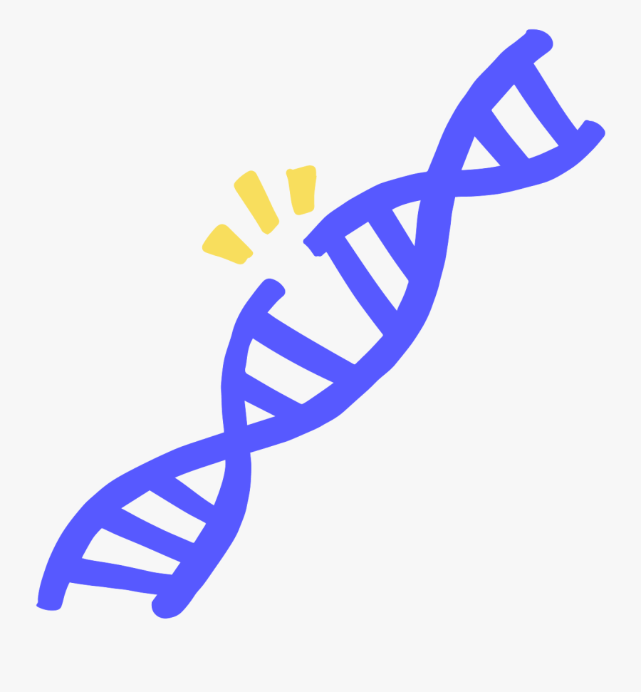 Transparent Dna Strand Png - Broken Dna Strand, Transparent Clipart