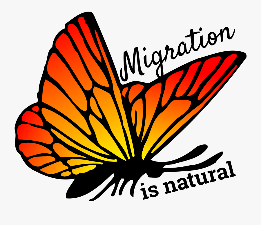 Butterfly Orange Color Png, Transparent Clipart