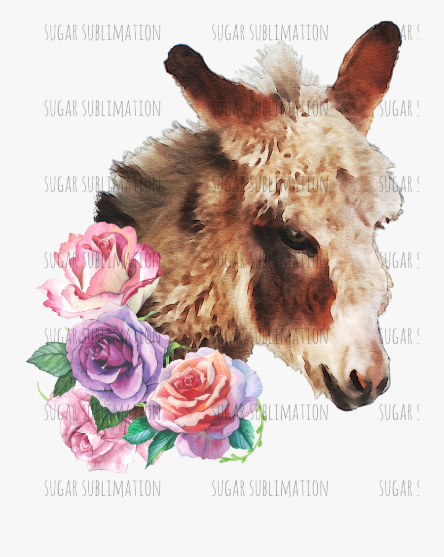 Burro, Transparent Clipart