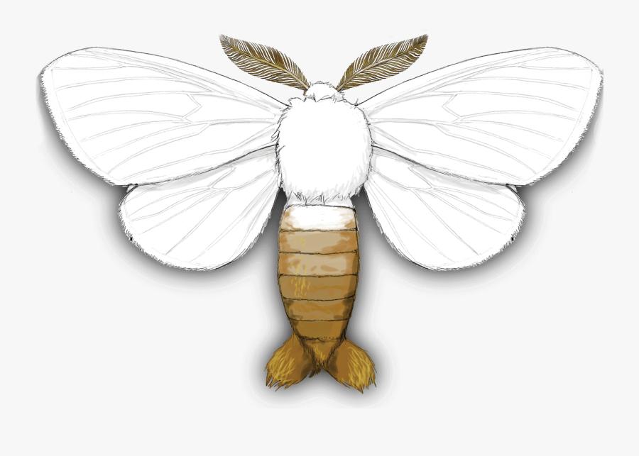 Clip Art Aliens And Body Snatchers - Browntail Moth, Transparent Clipart