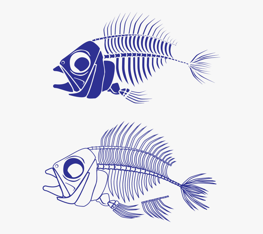 Fish Skeleton - Scary Skeleton Fish Clipart, Transparent Clipart