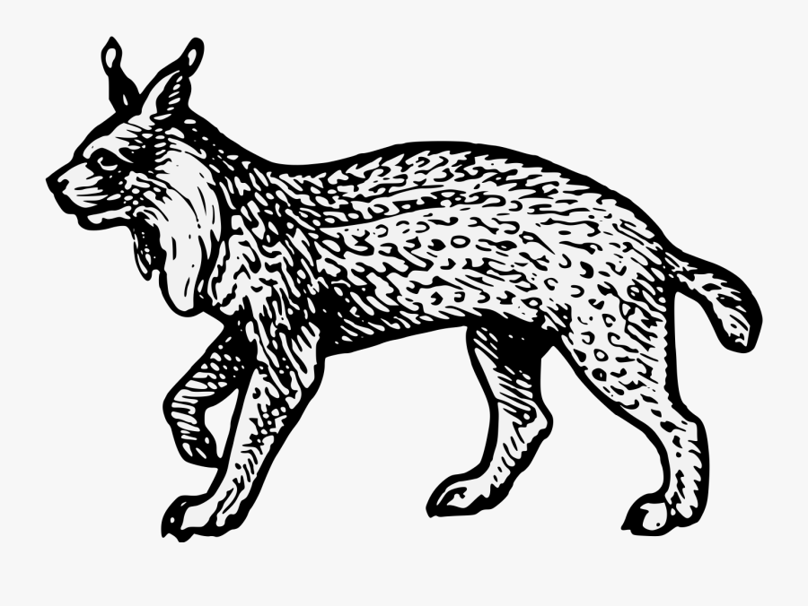 Heraldic Lynx, Transparent Clipart