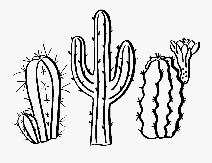 Sticker Boheme 3 Cactus Du Desert Ambiance Sticker - Drawings Of A Cactus, Transparent Clipart