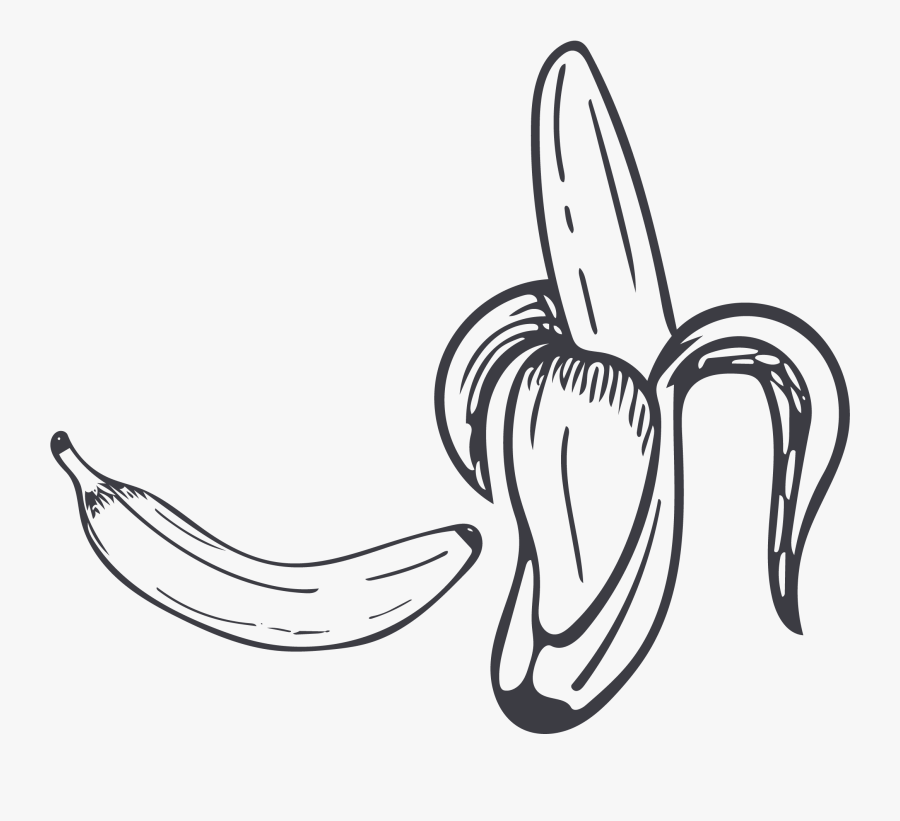 Collection Of Free Contour Drawing Banana Download - Banana Drawing Png, Transparent Clipart
