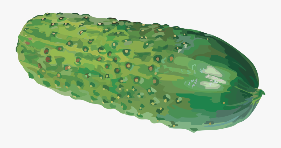 Cucumber Images Free Download Clipart - Cucumber Клипарт, Transparent Clipart