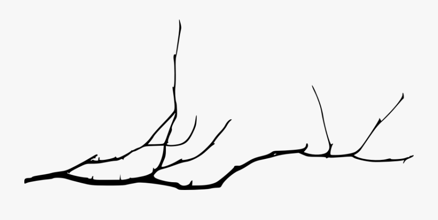 Jpg Free Library Branch Transparent Simple - Tree Branch Drawing Simple, Transparent Clipart