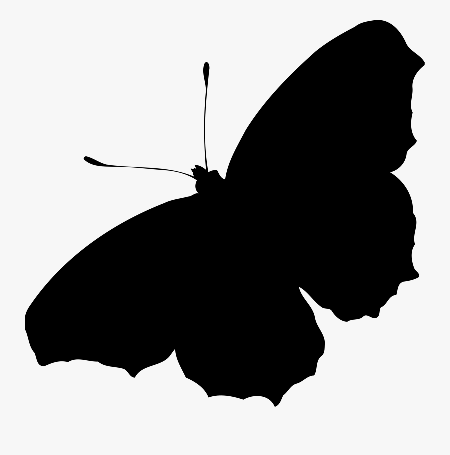 Butterfly,plant,flower - Black Butterfly Silhouette Pdf, Transparent Clipart