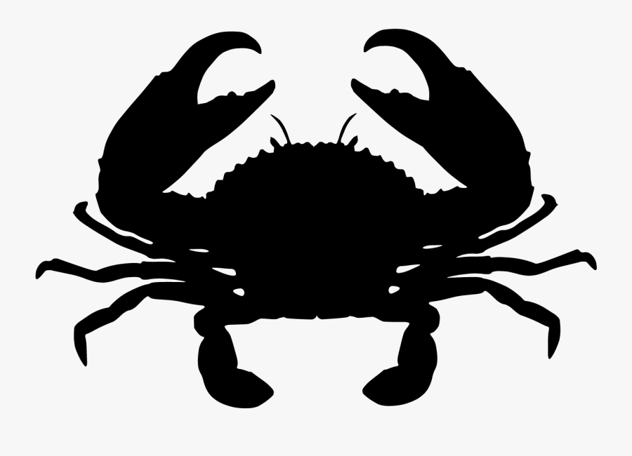 Giant Mud Crab Chesapeake Blue Crab Red King Crab - Mud Crab Png, Transparent Clipart