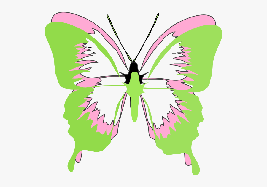 Butterfly Cartoon Black And White, Transparent Clipart