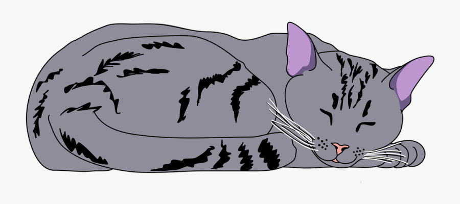 Animal, Cat, Center, Cute, Kitty, Mao, Pet, Pose - Sleeping Cat Clip Art, Transparent Clipart