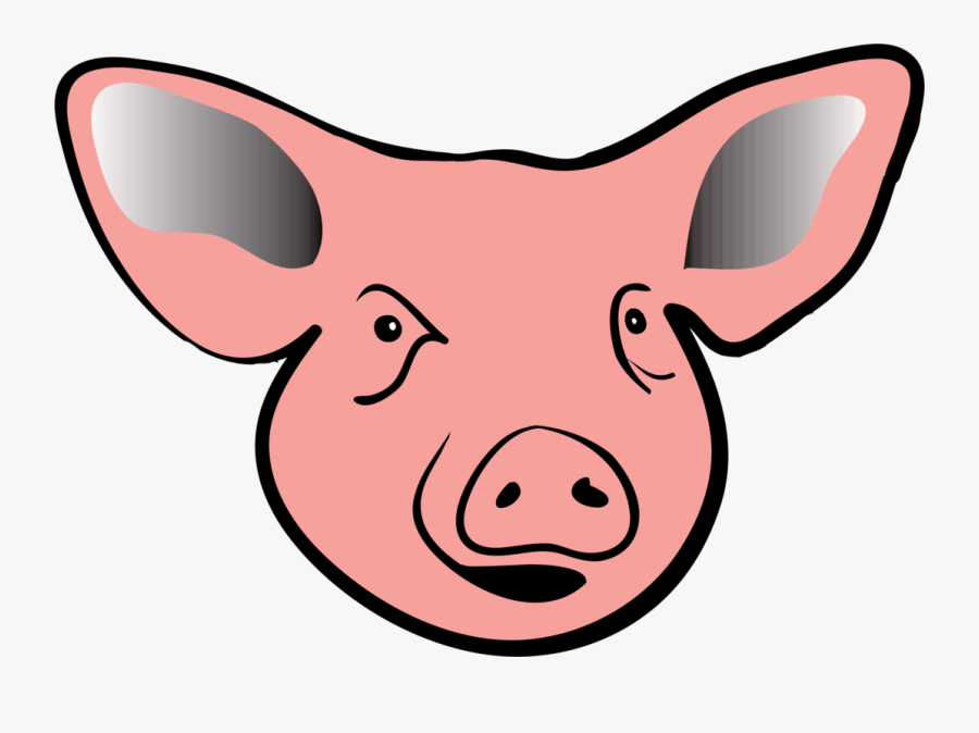 Pink,head,snout - Domestic Pig, Transparent Clipart