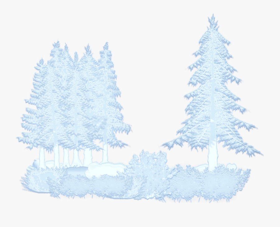 Winter Snow Trees Forest Png Image - Arboles Con Nieve Png, Transparent Clipart