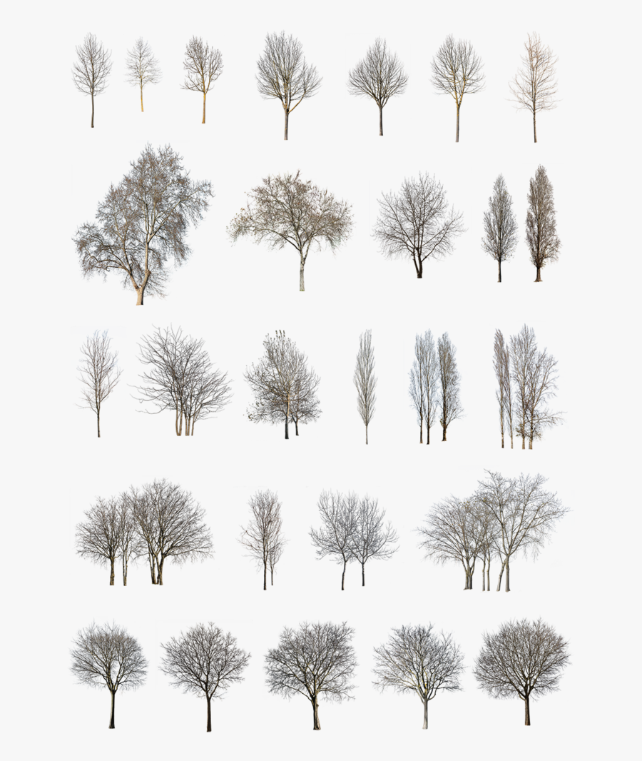 27 Winter Trees Pack - Landscapes With Winter Trees Png, Transparent Clipart