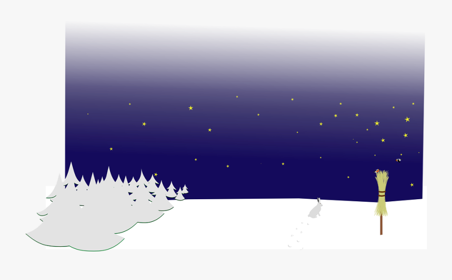Night, Winter, Forest, Trees, Broom, Hare, Rabbit - Snow, Transparent Clipart
