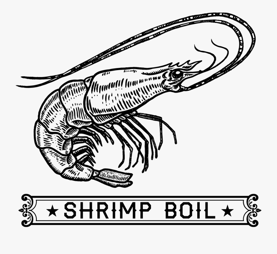 Shrimp Boil Art, Transparent Clipart
