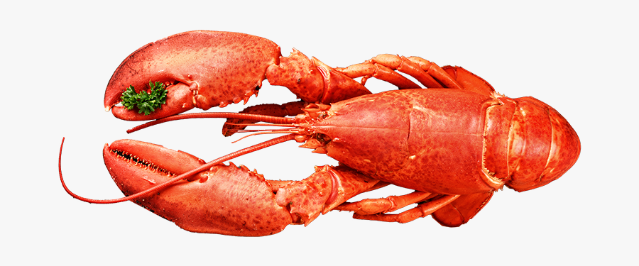 American Food,crab,botan Shrimp,shanghai Food,cuisine,spiny - American Lobster, Transparent Clipart