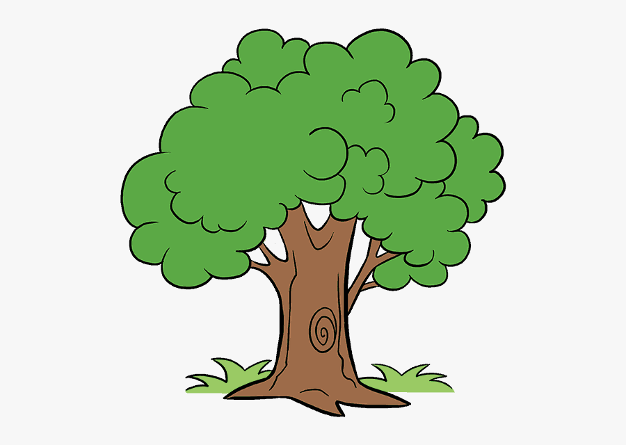 How To Draw A Cartoon Tree - Draw A Cartoon Tree, Transparent Clipart