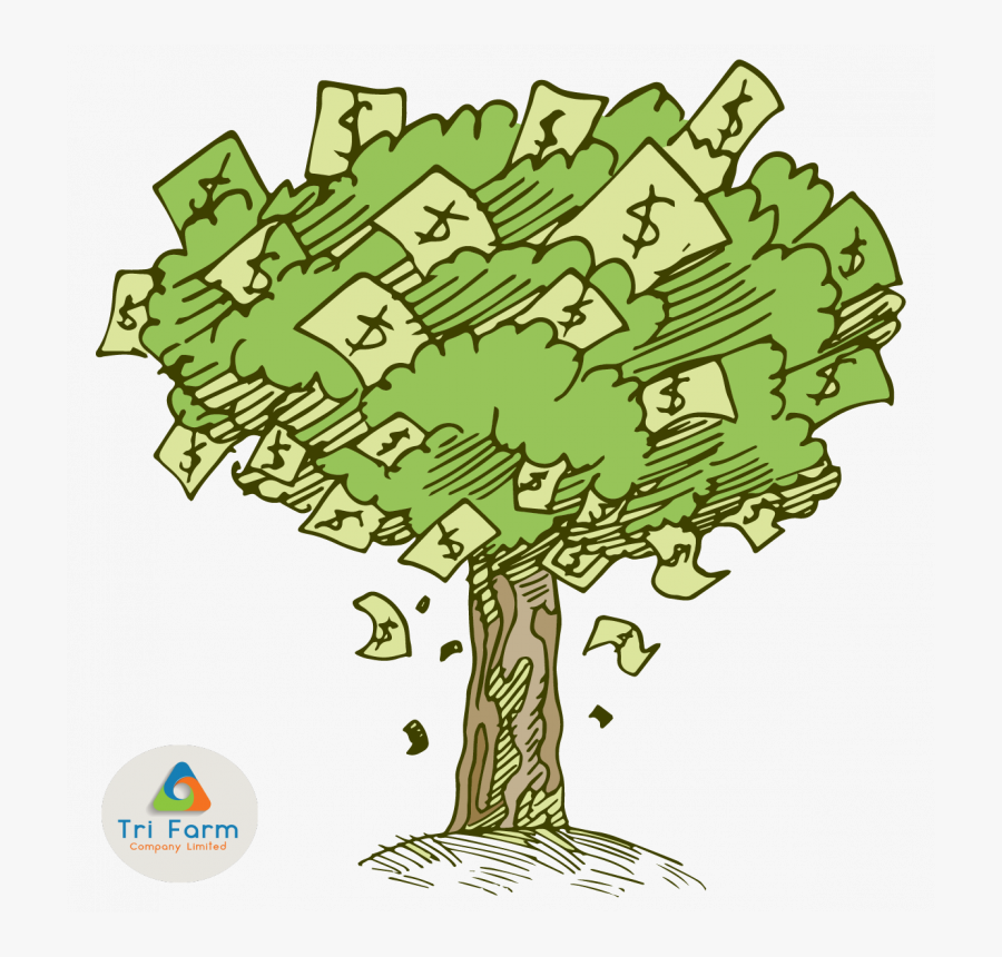 Money Tree Png - Transparent Money Tree Clipart, Transparent Clipart