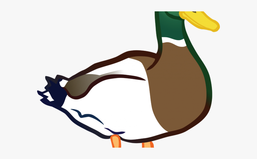 Duck Clipart, Transparent Clipart