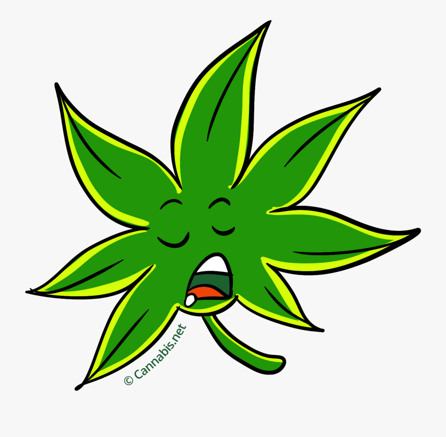 Transparent Marijuana Plant Clipart, Transparent Clipart
