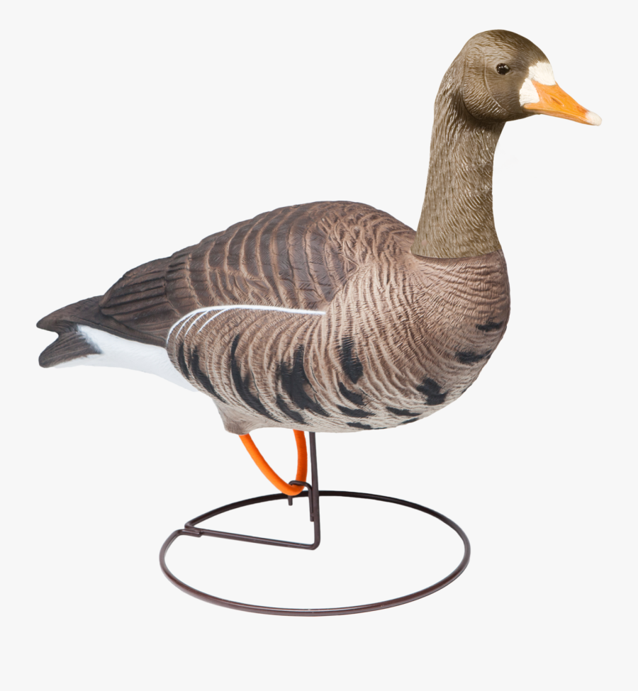 Field Speckle Bellies Sentry Goose Hunting Decoy From - Goose, Transparent Clipart