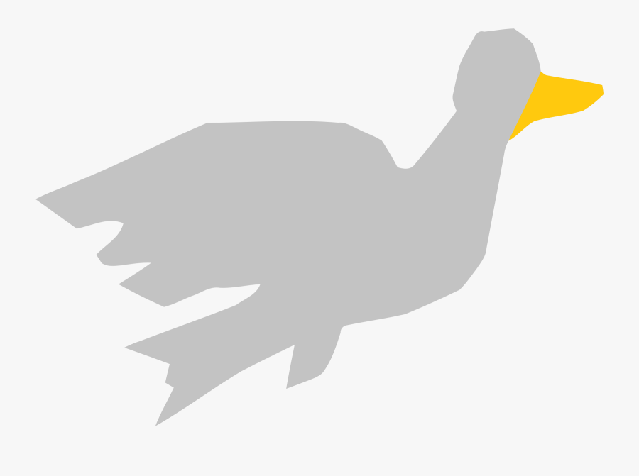 Poultry,water Bird,livestock - Duck, Transparent Clipart