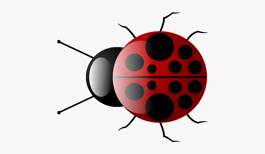 Red Beetle Transparent Background, Transparent Clipart