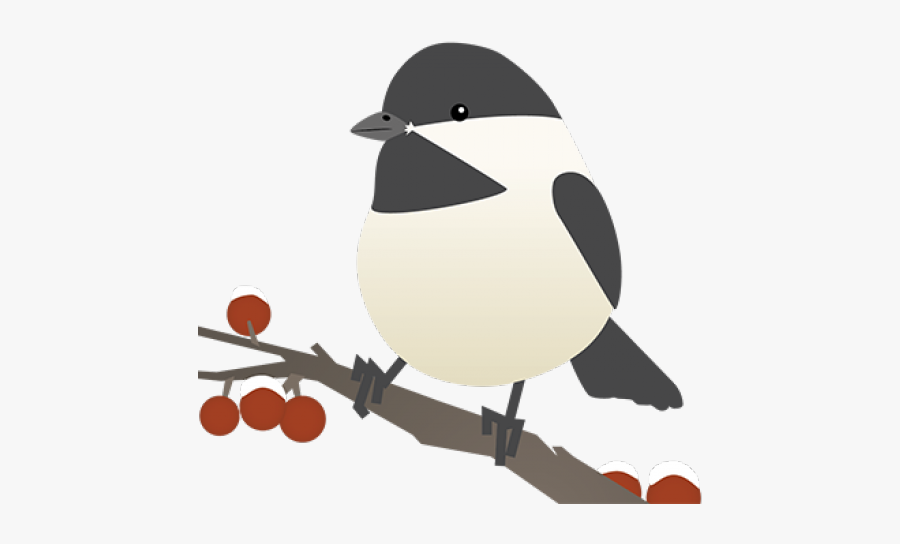 Zoo Clipart Zoo Habitat - Chickadee, Transparent Clipart