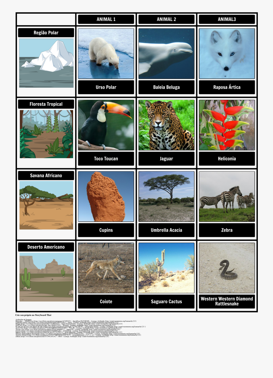 Clip Art Habitat De Storyboard By - Animal Habitat And Adaptation, Transparent Clipart