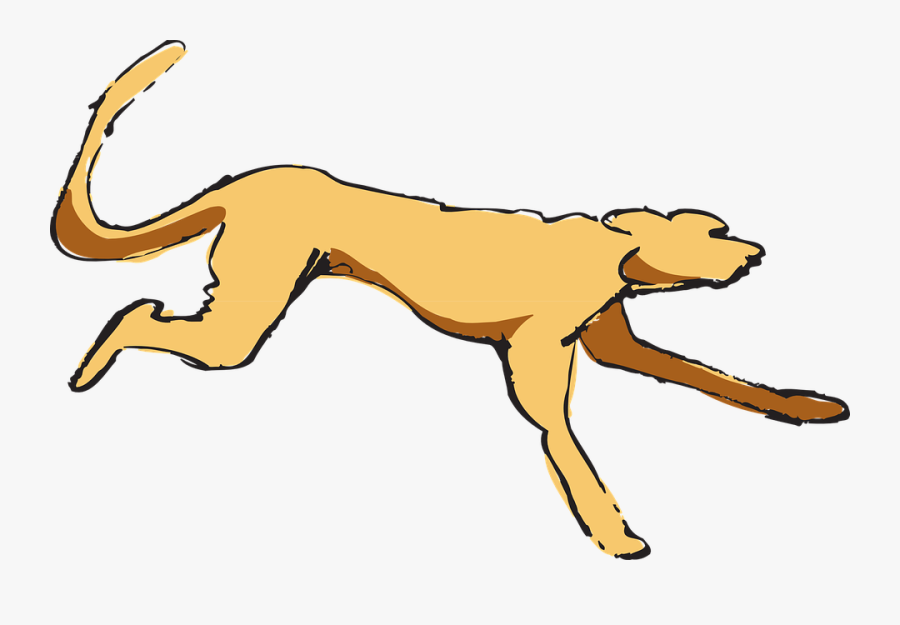 Dog, Running, Pet, Animal, Fur - Dog Running Gif Clipart, Transparent Clipart