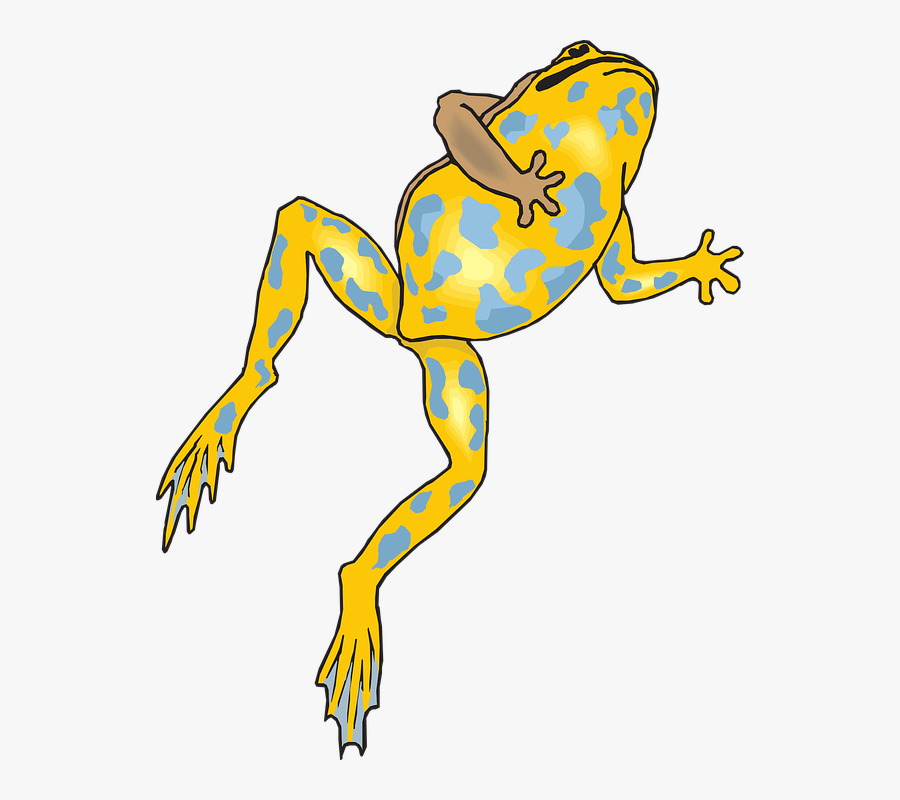 Dead Frog Clipart Png, Transparent Clipart