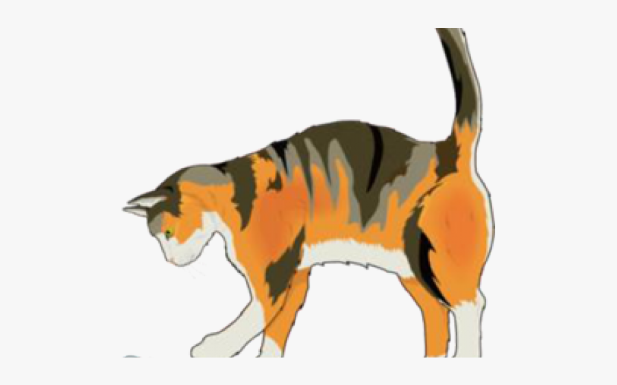 Ferral Cat Clip Art, Transparent Clipart